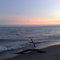 Sunset on the Beach with the birds