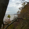 Port Stanley Cliffs