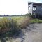 Port Stanley Sewage Lagoons