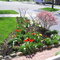 Toronto, On, Canada, flowers at Honeywood road May 2007