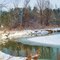 The Humber in Boyd Park, Woodbridge (CONTEST2011)