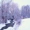 Rainbow Creek Park in Woodbridge, Ontario (February contest)