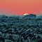 Sunrise (Panoramio SPS A New Day Dawn - 3rd place)