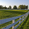 White Fence, Green Field