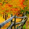 Leaning Fence (October)