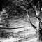 15th Sideroad