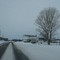 Snowy tree off 9