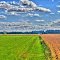 Country land
