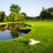 Randpark Golf Club