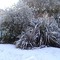 Snow in Backendowns 27-06-2007