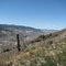 Fraser River Valley