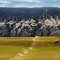 WATERING IN DOG-CREEK (CANADA, BRITISH-COLUMBIA, DOG-CREEK