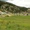 Dog Creek, Chilcotin