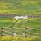 Beehives, Gang Ranch