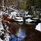 Cedar Creek Trail in Winter