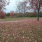 Campus Park North