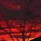 Christmas Day at Dawn