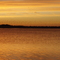 Ducks Rising at Sunset over Luther Marsh