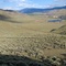 Sagebrush Country