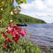 Lac Baskatong, Western Quebec.