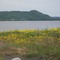 View of Head Bay from Weasel Island