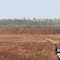 Peat Moss Pile