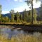 West Kettle River near Beaverdell, BC. September 2010