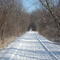 Luce Line Trail