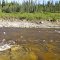 Limestone River
