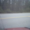 Moose alongside the road on Hwy 7