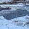 White Rapids