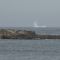 Iceberg, Catalina (Terre-Neuve)