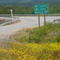 The Cross Roads