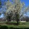 Spring has sprung