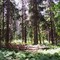 Simcoe County Forest 6th Line Essa