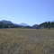 Boston Bar grass strip