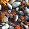 Placentia beach, Newfoundland