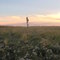 Sunset Scene at Argentia