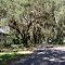 canopy road, Montclair Rd at Westside Dr, Leesburg (10-1-2011)