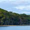 FL - Lake Harris - Singletary Park 120 - nwicon.com