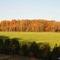 Fall Colours