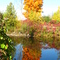 Fall on the lake
