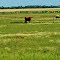 Highway 5,  Manitoba