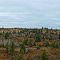 Spirit Sands