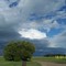 Trees and Clouds