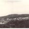 Casey en 1950