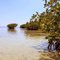  Florida Keys, Floride, États-Unis