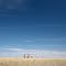 Little people on the big prairie