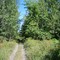 Sentier recréatif entre Hammond et Sarsfield