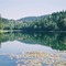 Dutch Lake BC North of Kamloops